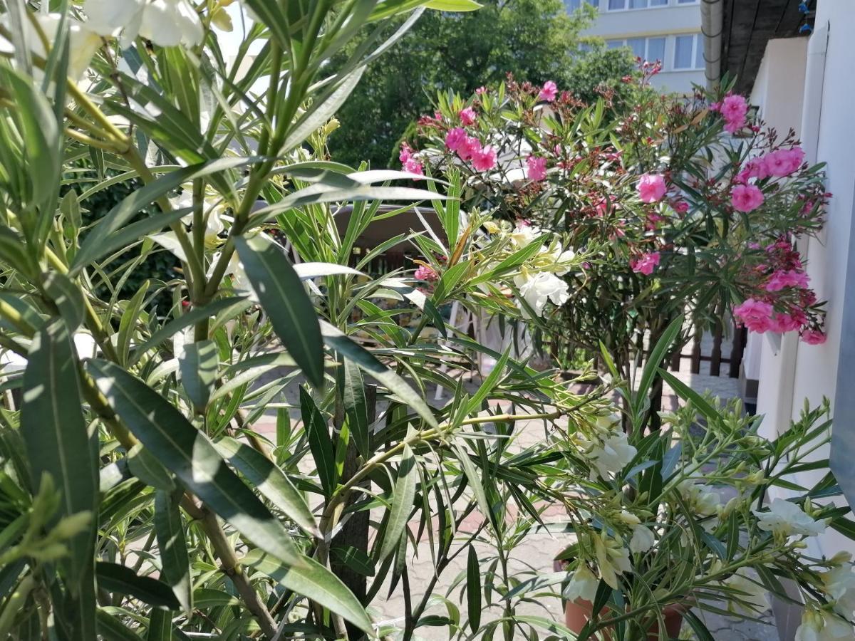 Kertesz Vendeghaz Hotel Eger Ngoại thất bức ảnh