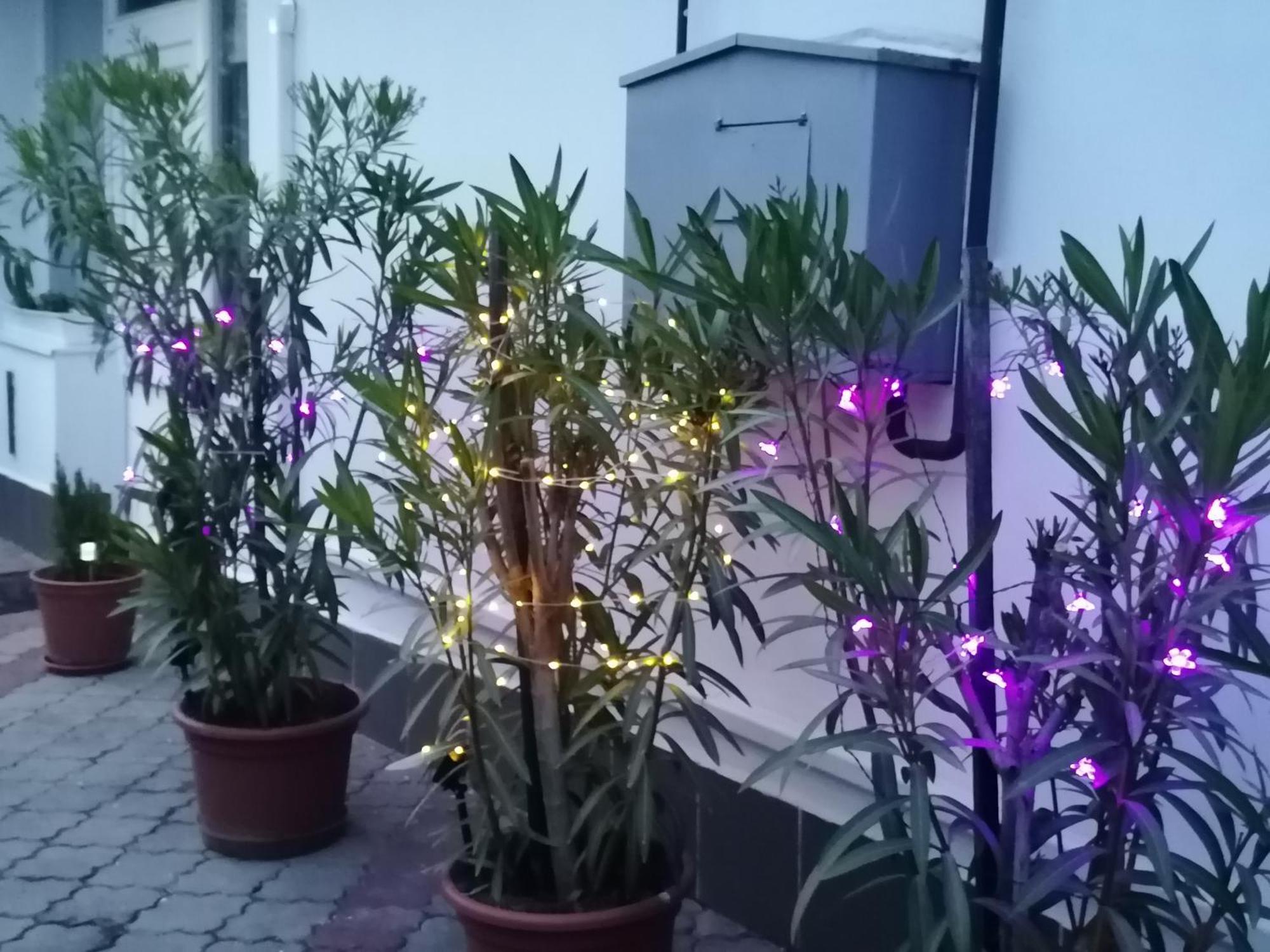 Kertesz Vendeghaz Hotel Eger Ngoại thất bức ảnh